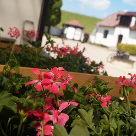 Hotel A Hostinec Talsky Mlyn Żdżar nad Sazawą Zewnętrze zdjęcie