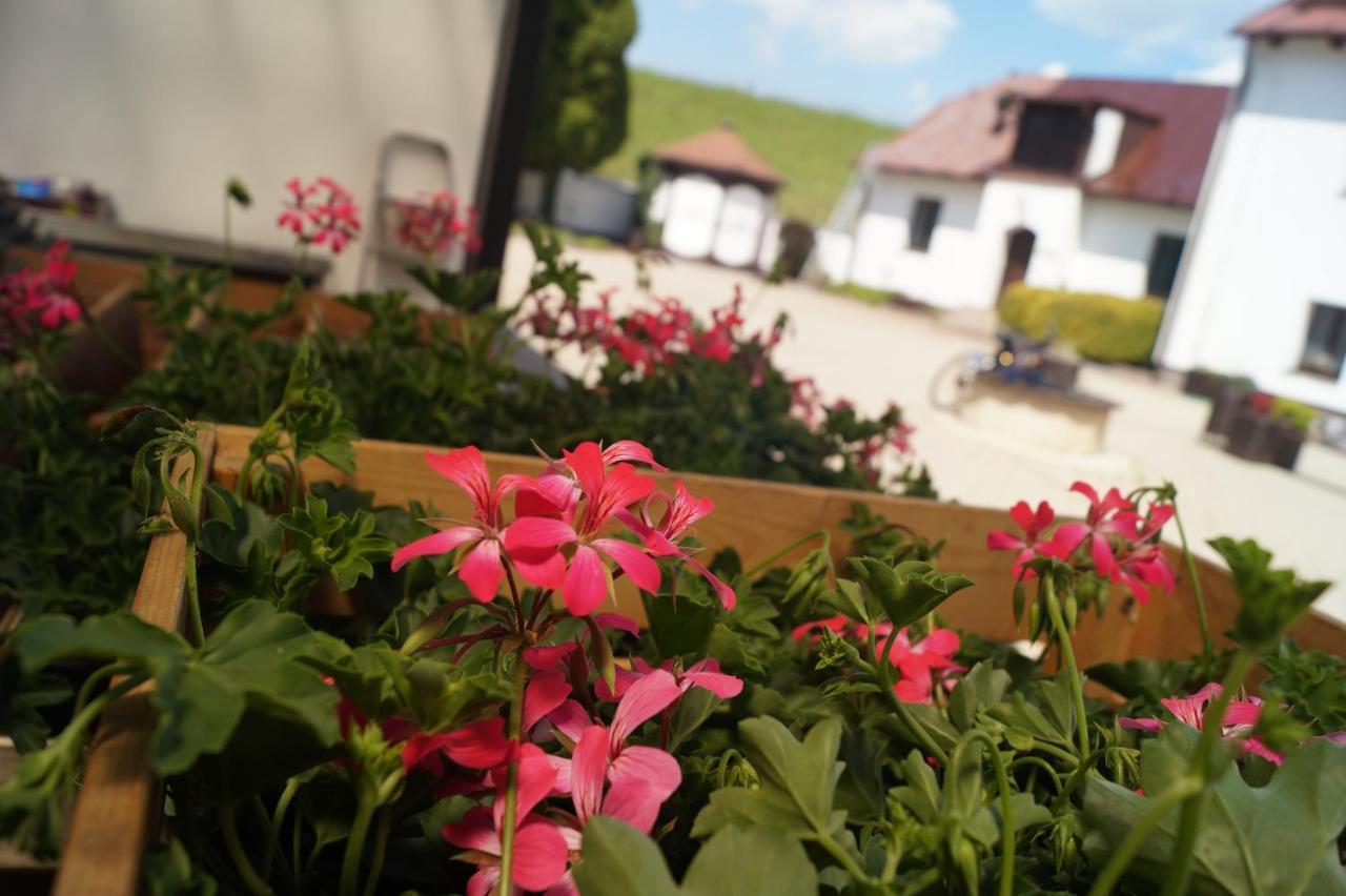 Hotel A Hostinec Talsky Mlyn Żdżar nad Sazawą Zewnętrze zdjęcie