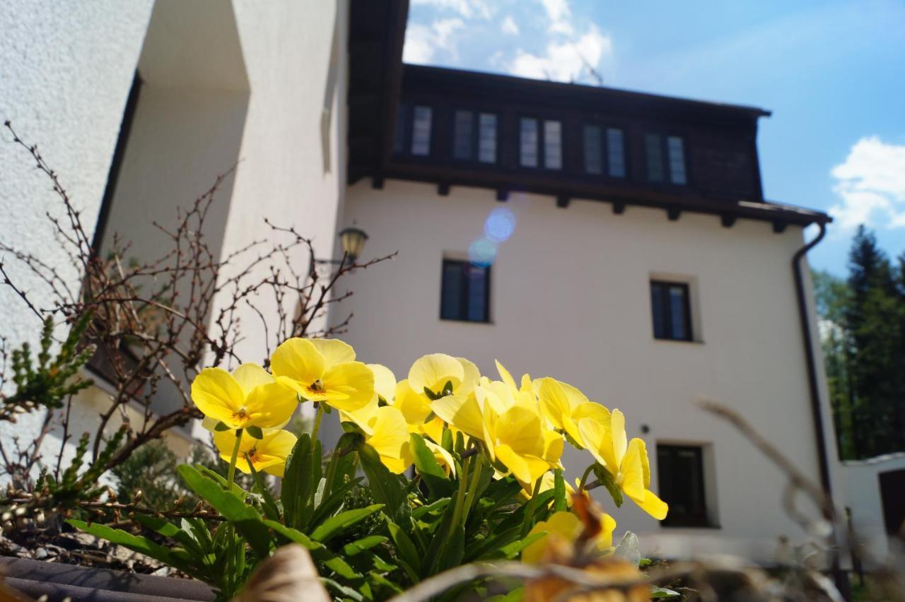 Hotel A Hostinec Talsky Mlyn Żdżar nad Sazawą Zewnętrze zdjęcie